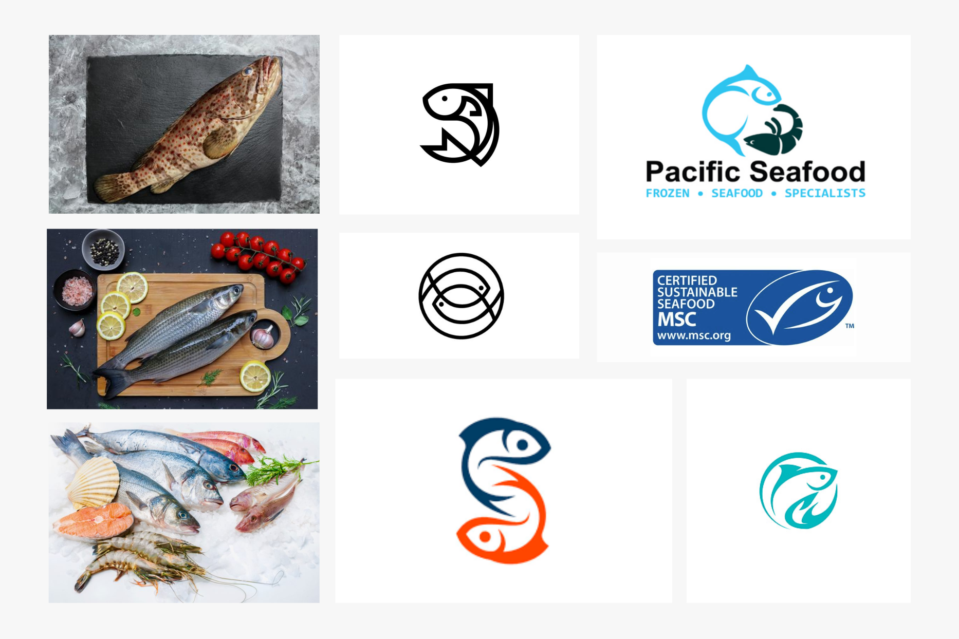 Some of my inspiration for this project with 9s Seafood